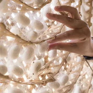 Silk: The Thread That Built Empires and Conquered the World of Fashion